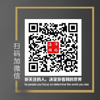 小程序开发-微信公众号开发-小程序制作设计-海洋网络网站建设公司