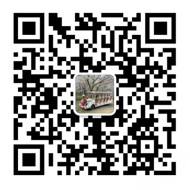 电动观光车_燃油观光车-观光车品牌排名推荐厂家-贵州忠辉官网