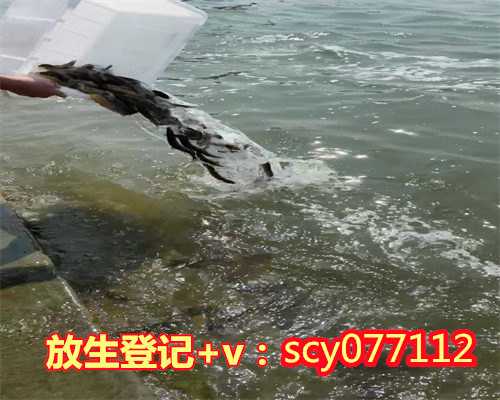流产放生_堕胎放生_堕胎放生放什么好_堕胎放生念什么_东莞放生群