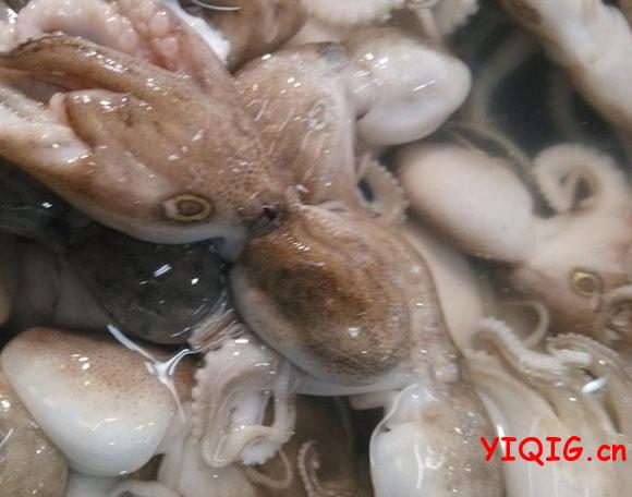 一起过健康网|生活常识,家常美食菜谱,家庭保健知识大全集锦