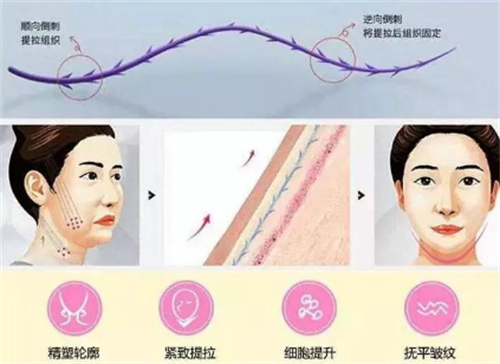 三恩健康网 - 专业的健康养生门户_权威养生保健资讯