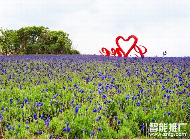 网站建设_SEO优化_推广流量_站长专业服务平台