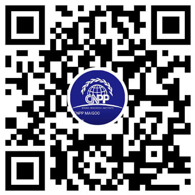 十大品牌网CNPP → 品牌排行榜，品牌网门户