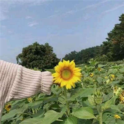 搬家公司-全国连锁专业搬家公司电话价格-北京四通搬家公司