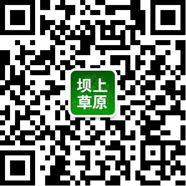 坝上草原,丰宁坝上_草原风(特色酒店农家院)口碑诚信助您坝上之旅
