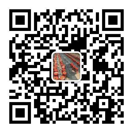吊索具|钢丝绳索具|卸扣|吊装带|起重吊索具-北京凌鹰吊索具官方网站