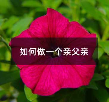 石家庄家教网_石家庄家教一对一辅导-【易教网】15年家教品牌