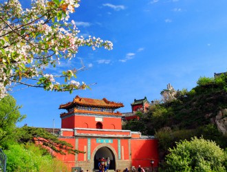 南北花木网_园林绿化苗木网_花卉苗木信息