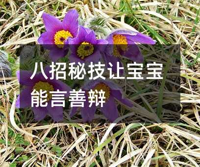 沈阳家教网_沈阳家教一对一辅导-【易教网】15年家教品牌