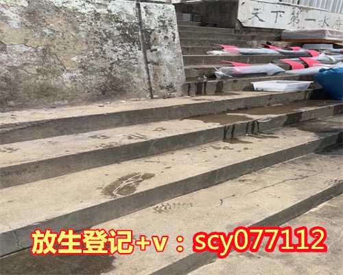 沈阳哪里可以放生_沈阳放生地点_沈阳放生什么好_沈阳放生网站