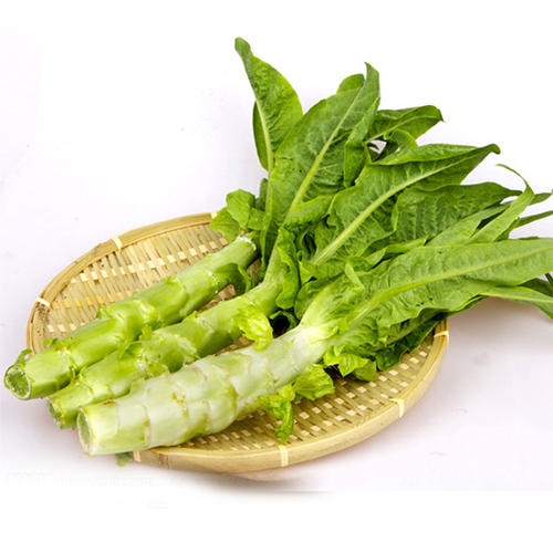 温州生活网-温州家政,温州保姆,温州月嫂,温州育儿嫂,温州保洁公司