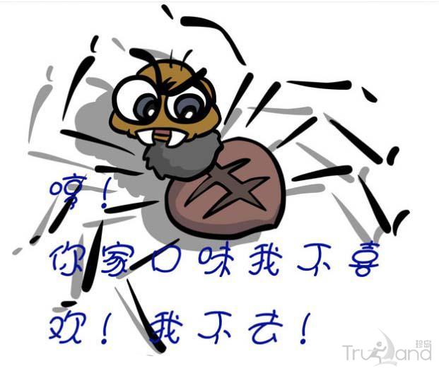 小米技术社区 - Web前端开发官方网站
