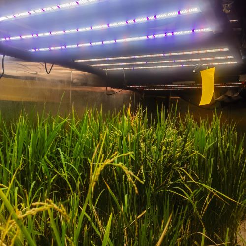 人工气候室厂家-智能人工气候室设计/建设/定制-【托普云农】