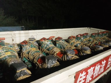 石油/泥浆/不锈钢防腐/砂泵/抽砂泵/砂砾泵/吸砂泵/压滤机泵 - 专业石油环保专用泵厂家