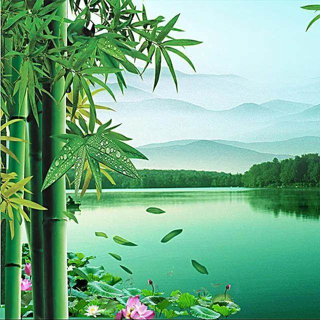 个人图片展示