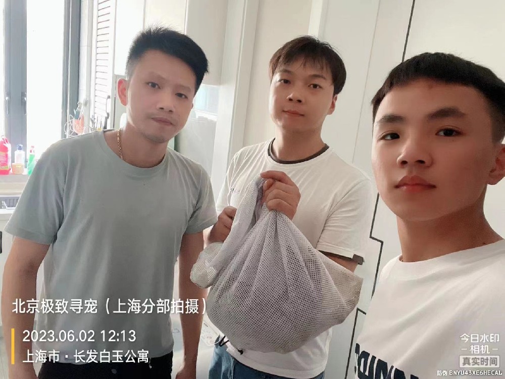 找猫/寻猫/宠物寻找/宠物救援/宠物侦探/猫丢了怎么办/找猫找狗技术有限公司13041089333