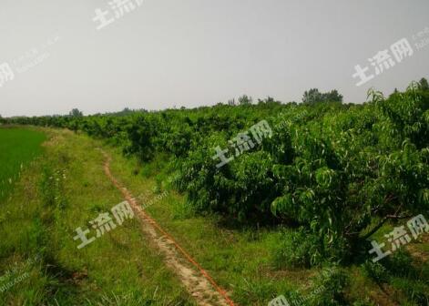 六安土流网 - 六安土地转让出租 - 流转市场