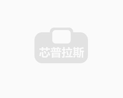 ICplus.cc 芯普拉斯 相信过程 元器件现货